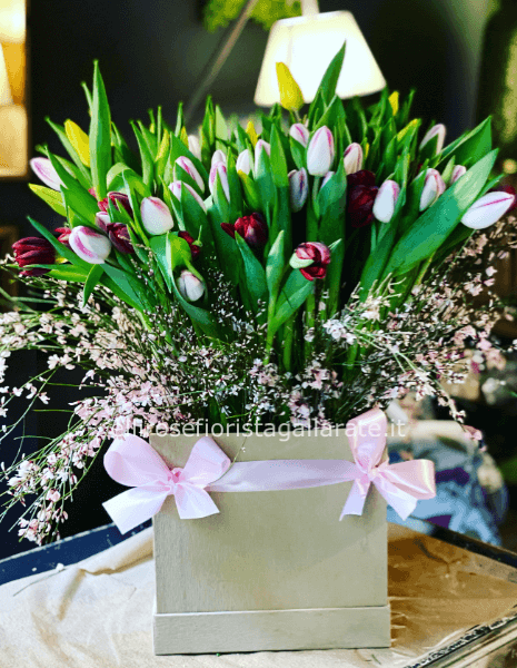 Box media 50 tulipani scelta del colore