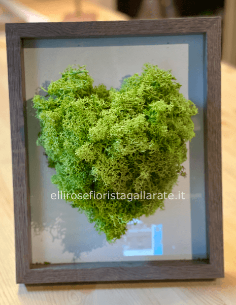 quadretto con cuore stabilizzato