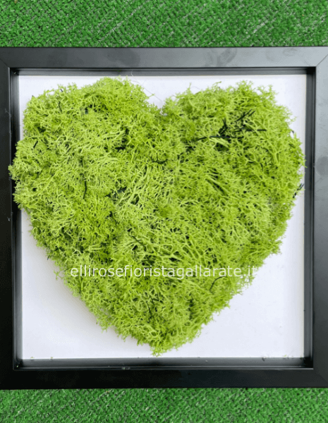 quadro a cuore stabilizzato