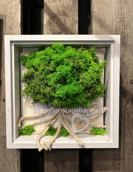 quadri alberi della vita