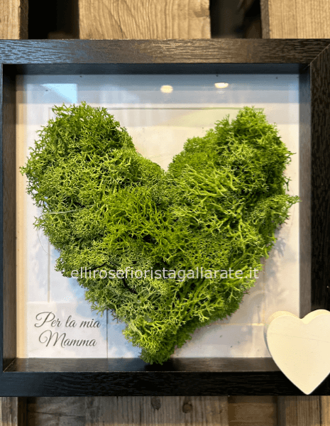 quadro cuore stabilizzato