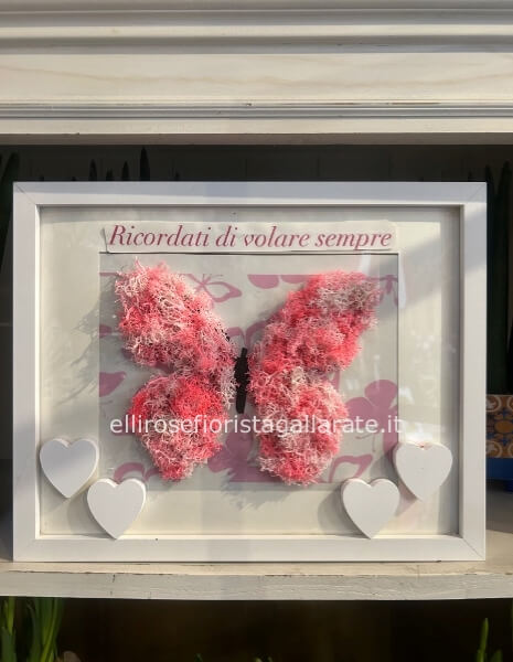 Quadro farfalla stabilizzato