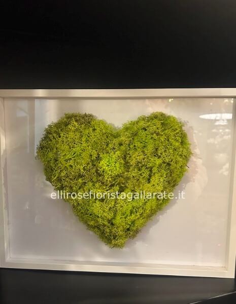 Quadro stabilizzato cuore