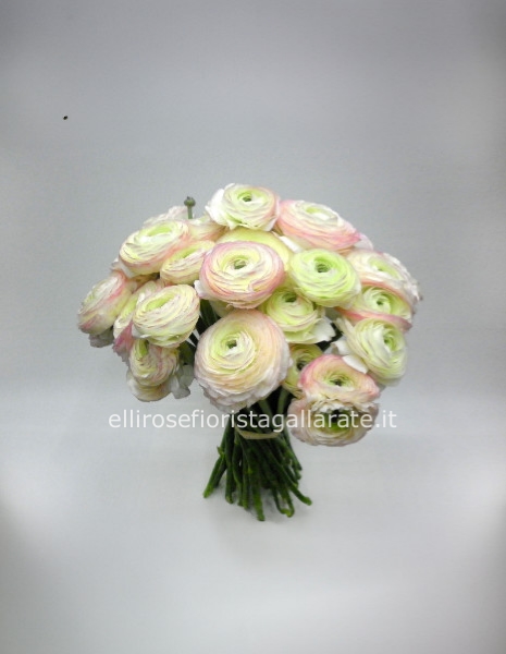 bouquet di ranuncoli pastello 12 ranuncoli